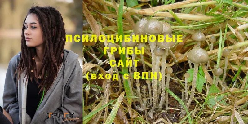 Псилоцибиновые грибы Magic Shrooms  Бикин 